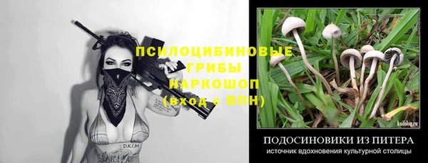 каннабис Аркадак