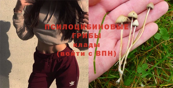прущие крисы Арсеньев